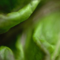 darktable test0006©20140215 JamesECockroft