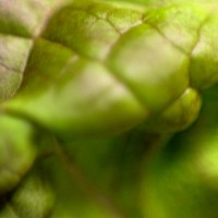 darktable test0010©20140215 JamesECockroft