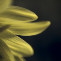 darktable test0025©20140215 JamesECockroft