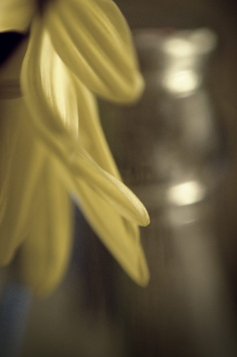 darktable test|0032|©20140215-JamesECockroft