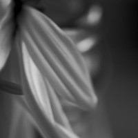 darktable test0034©20140215 JamesECockroft