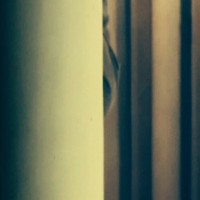 pF 03211©JamesECockroft 20140319