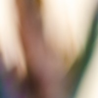 too close34©JamesECockroft 20140324