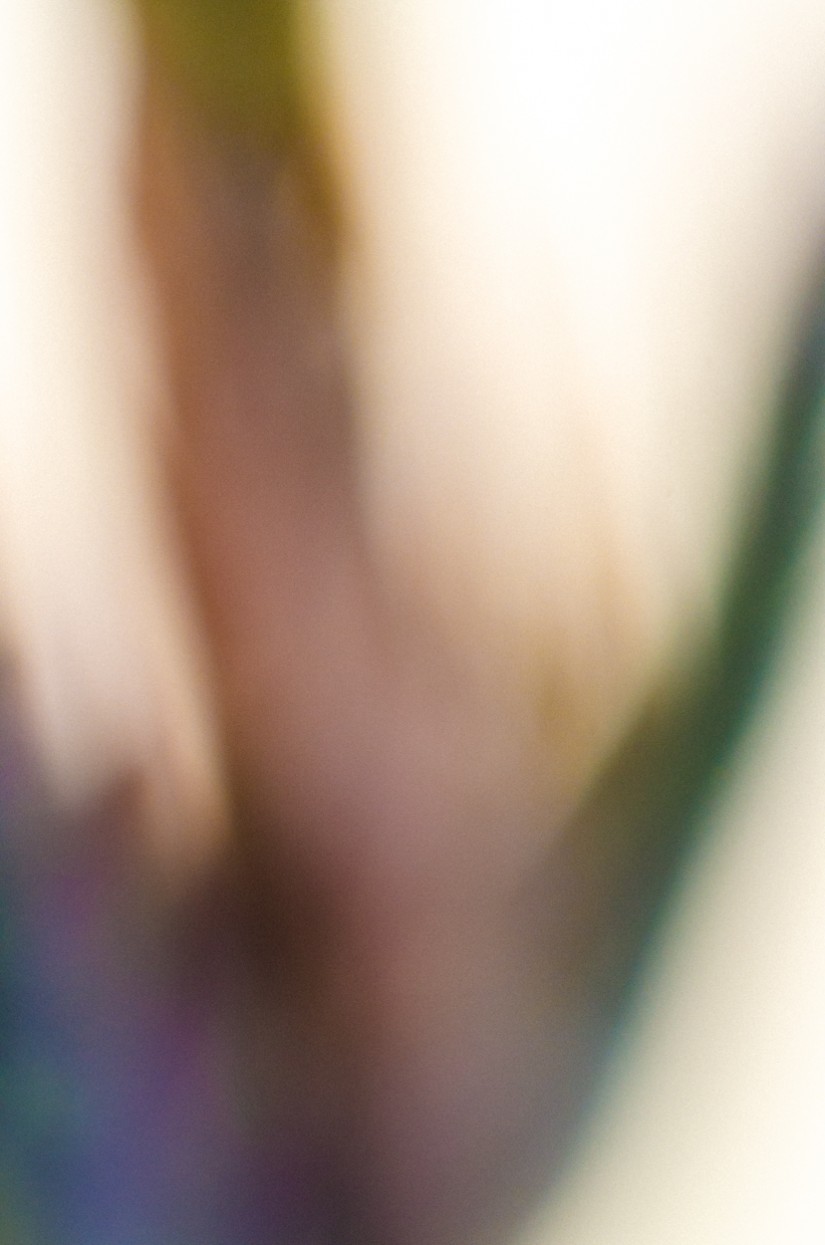 too close34©JamesECockroft 20140324