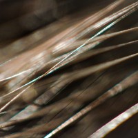 too close3©JamesECockroft 20140324