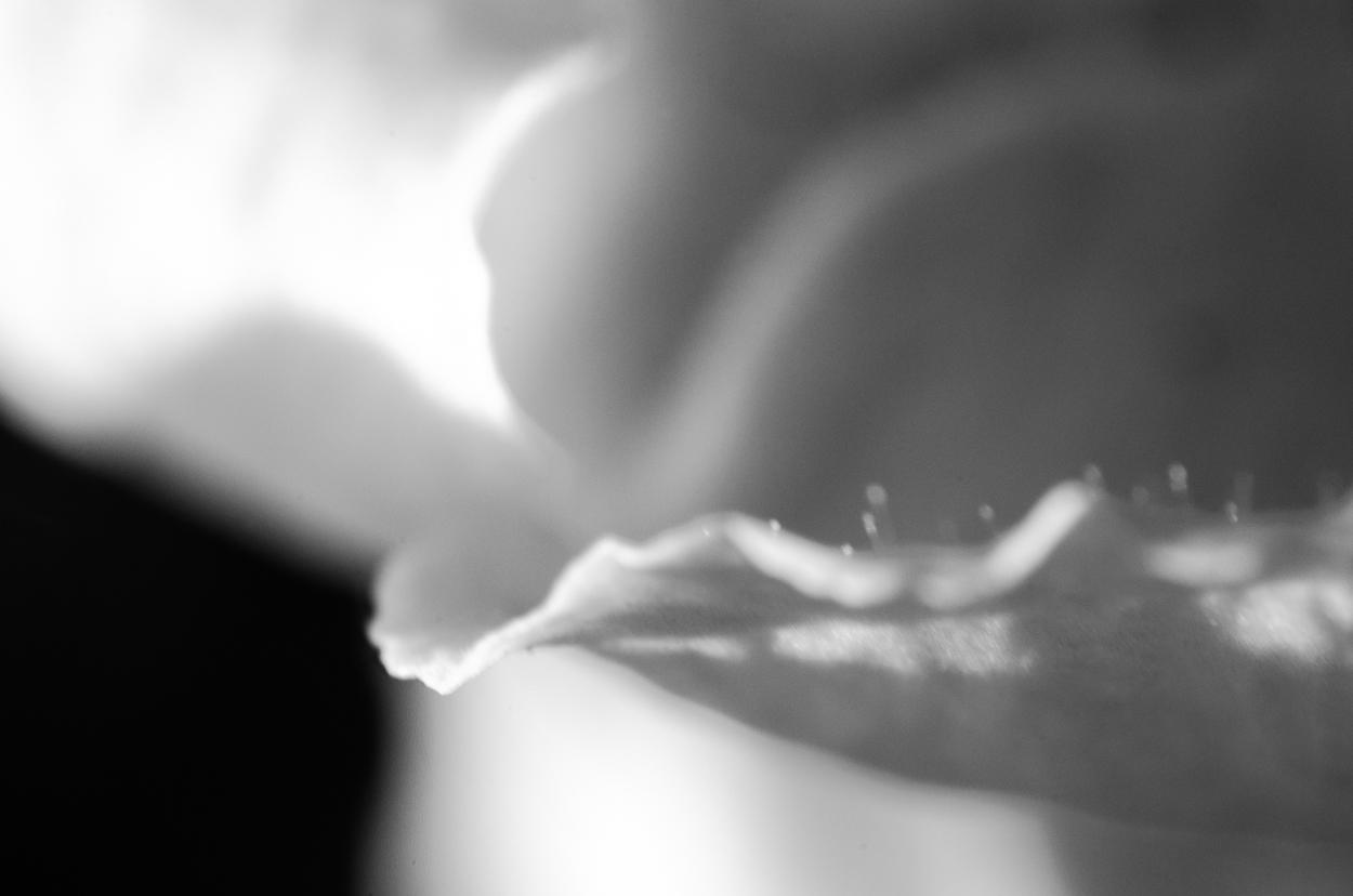 too close|43|©JamesECockroft-20140324