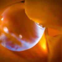 too close48©JamesECockroft 20140324