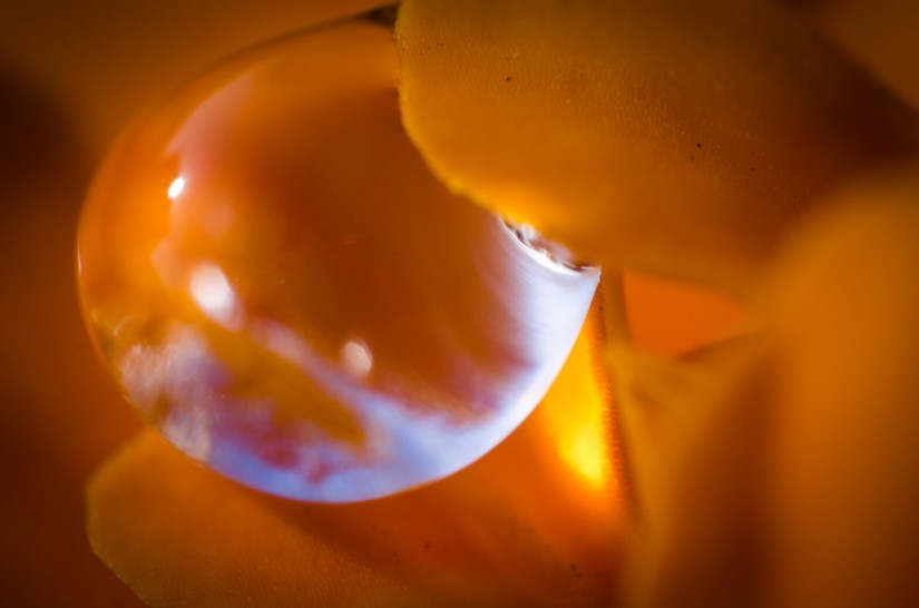 too close48©JamesECockroft 20140324