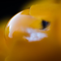 too close55©JamesECockroft 20140324