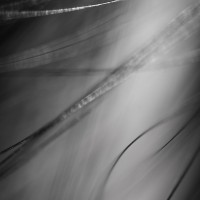 too close7©JamesECockroft 20140324