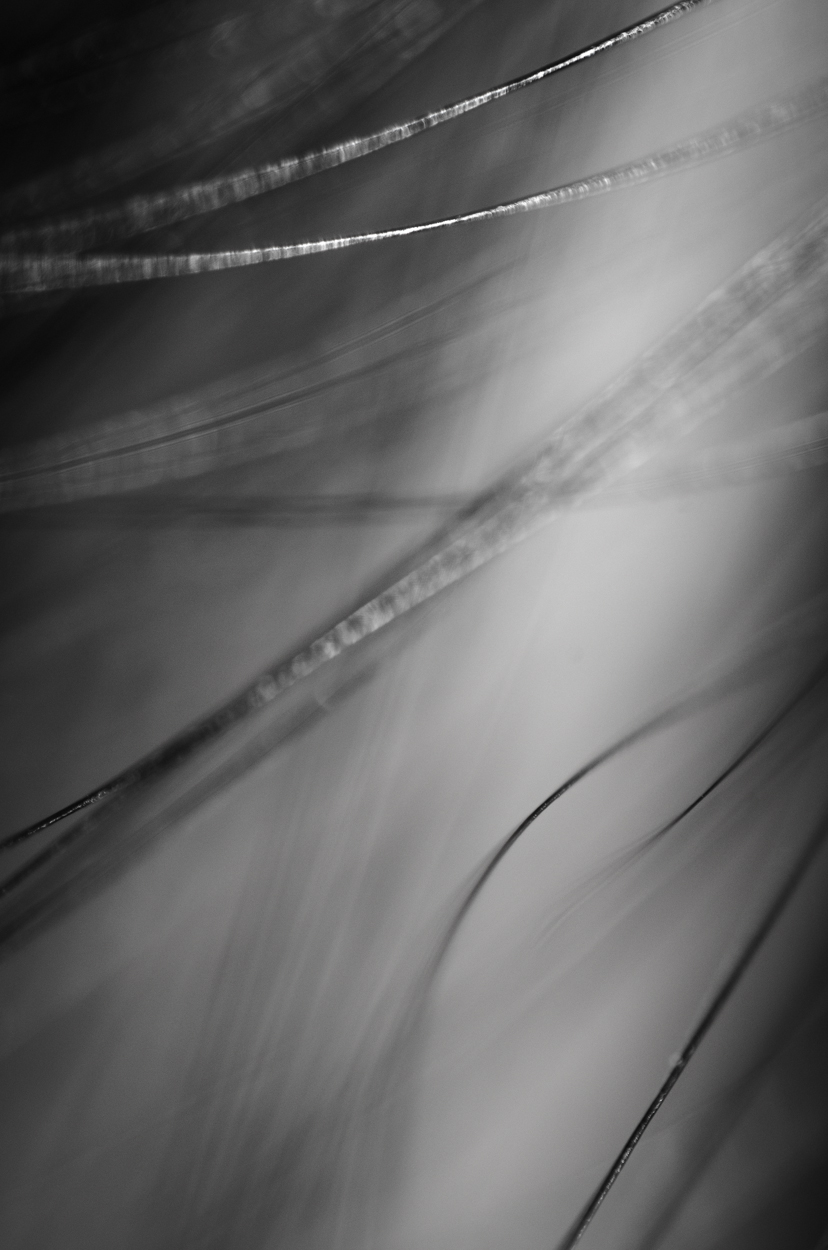 too close|7|©JamesECockroft-20140324