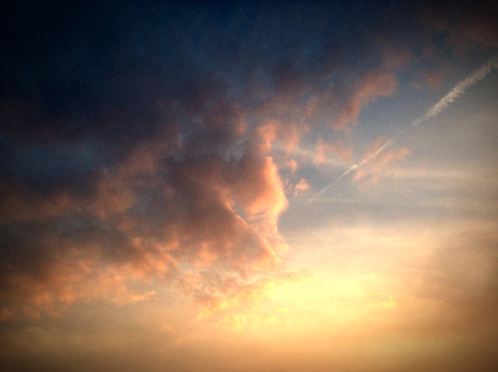 20140406-141401.jpg