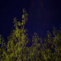 First shots17©JamesECockroft 20140402