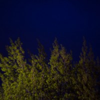 First shots19©JamesECockroft 20140402