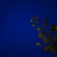 First shots27©JamesECockroft 20140402