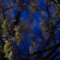 First shots30©JamesECockroft 20140402