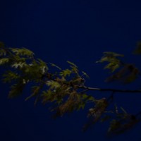 First shots34©JamesECockroft 20140402