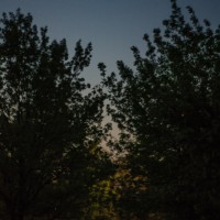 First shots61©JamesECockroft 20140408