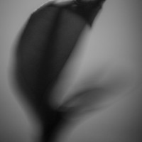 back to it8©JamesECockroft 20140414