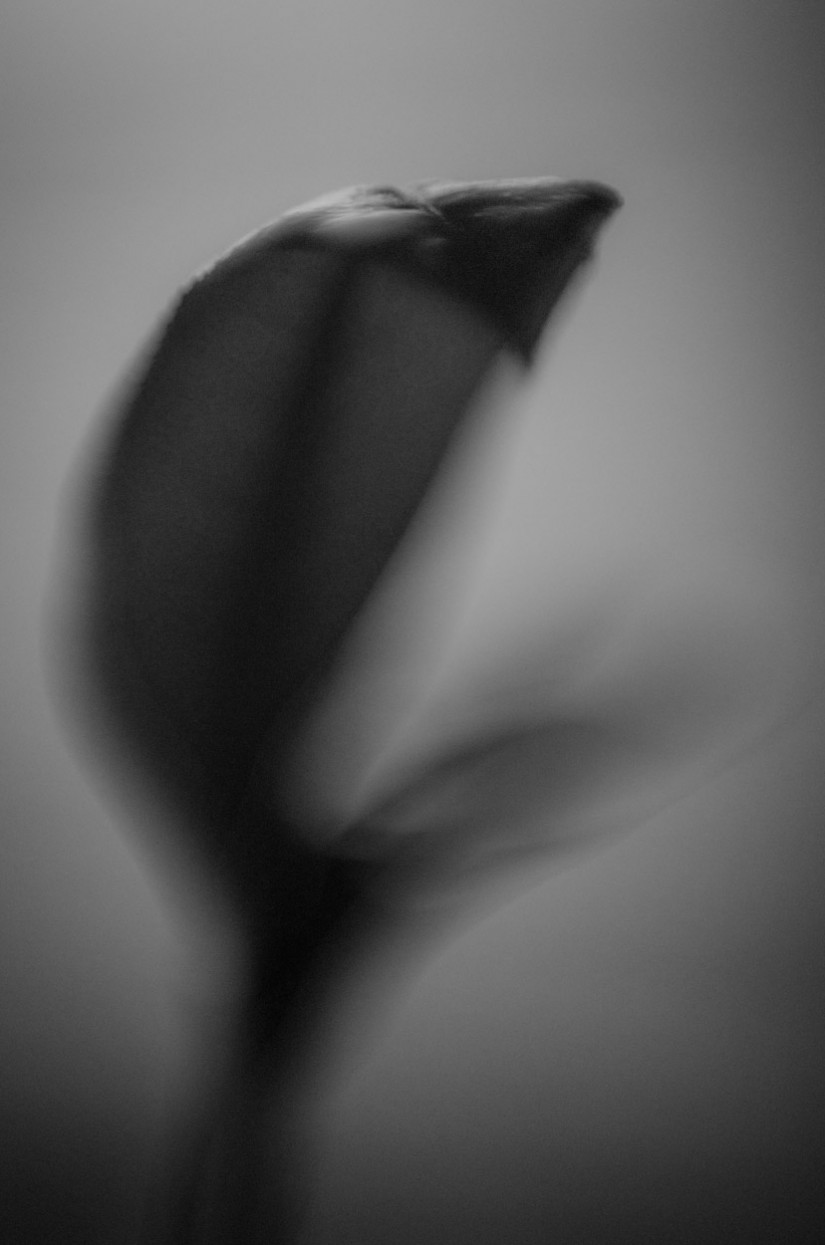 back to it8©JamesECockroft 20140414