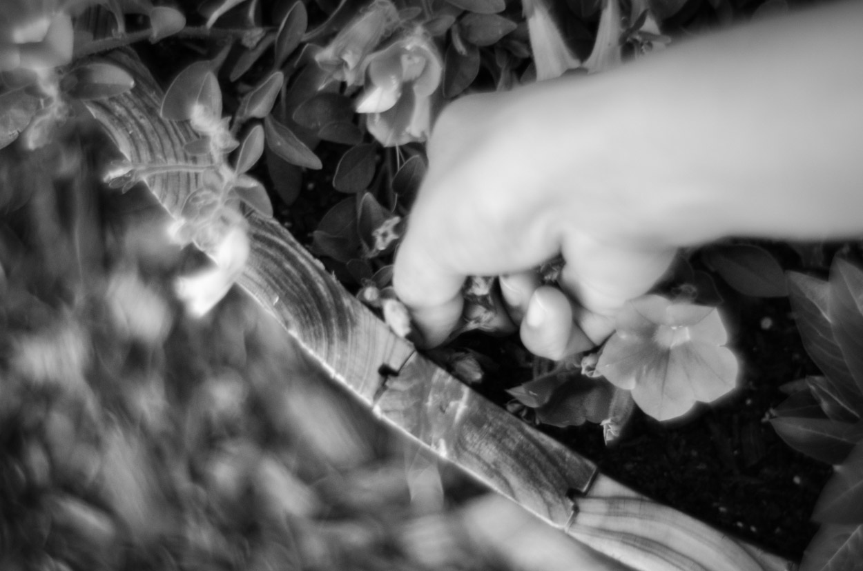 Petzval |110|©JamesECockroft-20140518