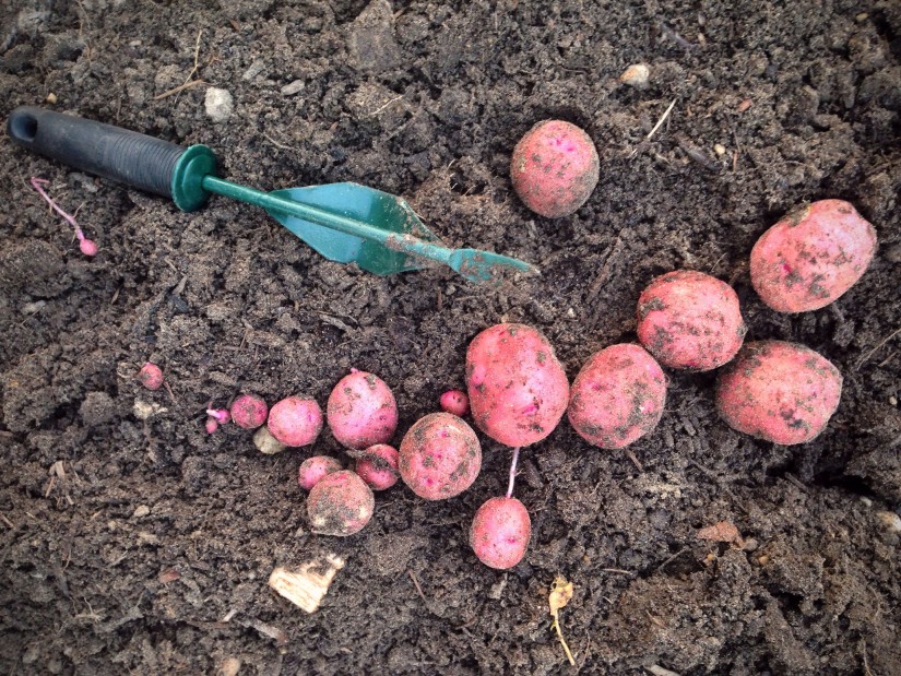 20140618 180902 65342523