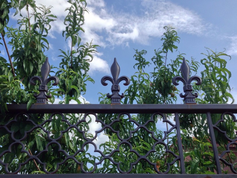 20140621 103345 38025448