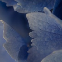 50 6016©JamesECockroft 20140607