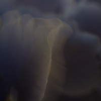 50 602©JamesECockroft 20140607