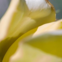 50 6043©JamesECockroft 20140607