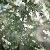 commute11©JamesECockroft 20140605