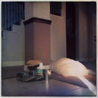 the doors28©JamesECockroft 20140528