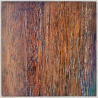 the doors4©JamesECockroft 20140530