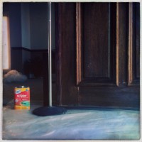 the doors5©JamesECockroft 20140530