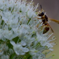 4 Ramadan7 crop2©JamesECockroft 20140702