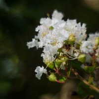 6 Ramadan12©JamesECockroft 20140704