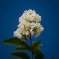 6 Ramadan9©JamesECockroft 20140704