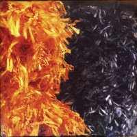 Golden dor 210©JamesECockroft 20140823