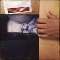 Golden dor 235©JamesECockroft 20140823