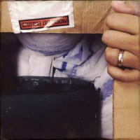 Golden dor 236©JamesECockroft 20140823