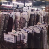 Golden dor 24©JamesECockroft 20140823