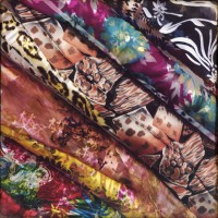 Golden dor 27©JamesECockroft 20140823