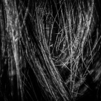 Hair Studies 27©JamesECockroft 20140803