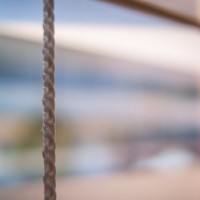 Olympus C 550 Zoom9©JamesECockroft 20020101