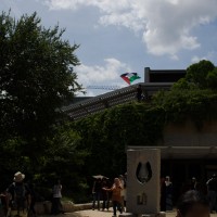 Texans For Gaza18©JamesECockroft 20140802