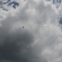 Texans For Gaza4©JamesECockroft 20140802