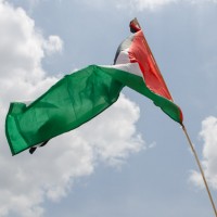 Texans For Gaza9©JamesECockroft 20140802