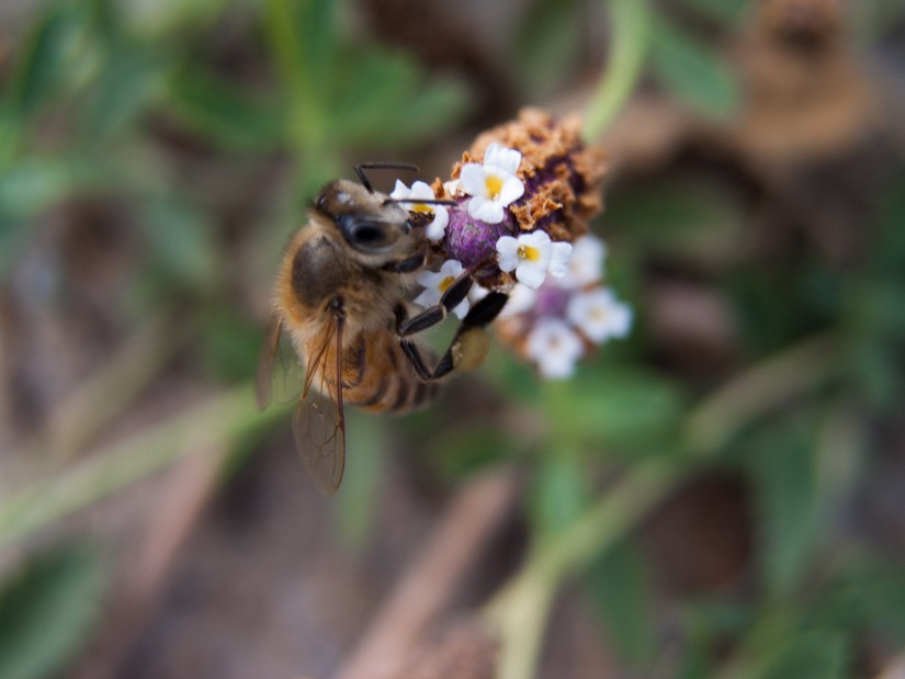 As Close as it gets 21©JamesECockroft 20140831