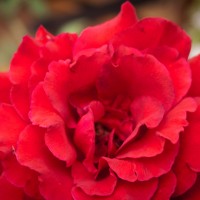 Closer3©JamesECockroft 20140907