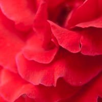 Closer7©JamesECockroft 20140907